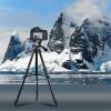 Штатив для телефона и фотоаппарата Tripod 3120 PRO