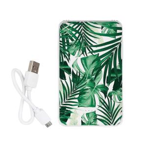 Повербанк ZIZ Листья 5000 мАч. Photo 2