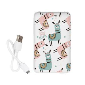 Повербанк ZIZ Не проблама 5000 мАч. Photo 2