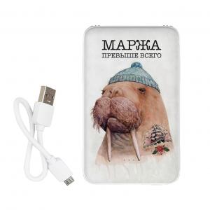 Повербанк ZIZ Маржа 5000 мАч. Photo 2