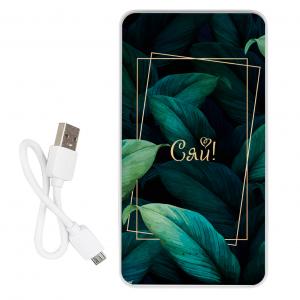 Повербанк ZIZ Сяй 10000 мАг. Photo 2