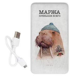 Повербанк ZIZ Маржа 10000 мАг. Photo 2